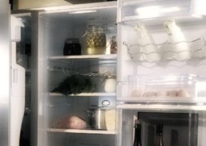 Можно ли поставить цветок на холодильник Можно ли поставить цветок на холодильник