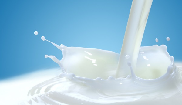 Чем отличается пастеризованное молоко от стерилизованного