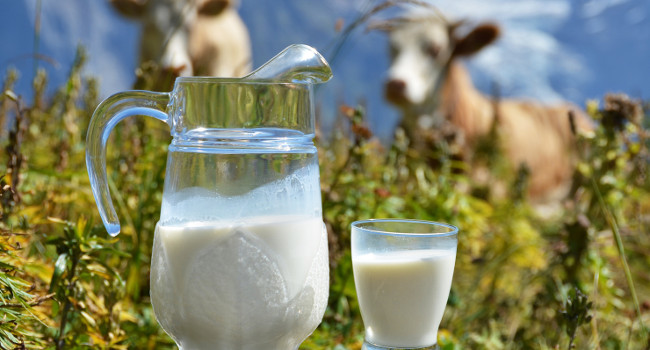 Как определить жирность молока в домашних условиях